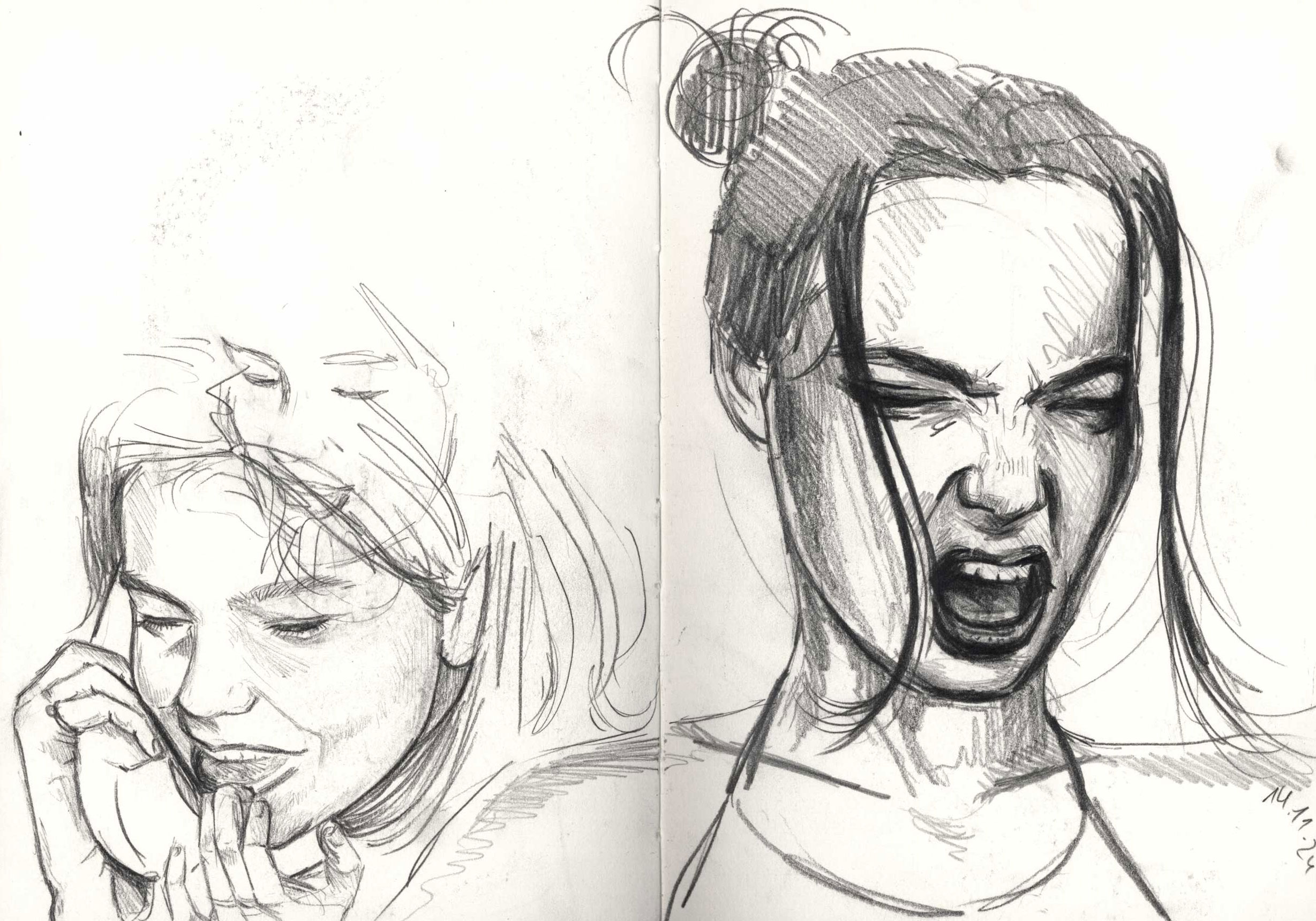 Björk, pencil